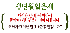 ������Ͽ